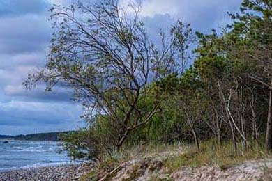 EDG战队核心选手复出时间确认，edg战队核心选手复出时间确认了吗