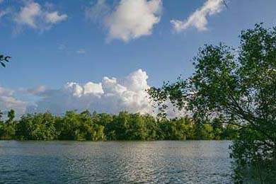 FaZe开启LOL直播系列挑战赛，英雄联盟faker直播