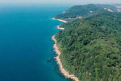 EDG选手比赛录像分析分享，edg选手比赛录像分析分享